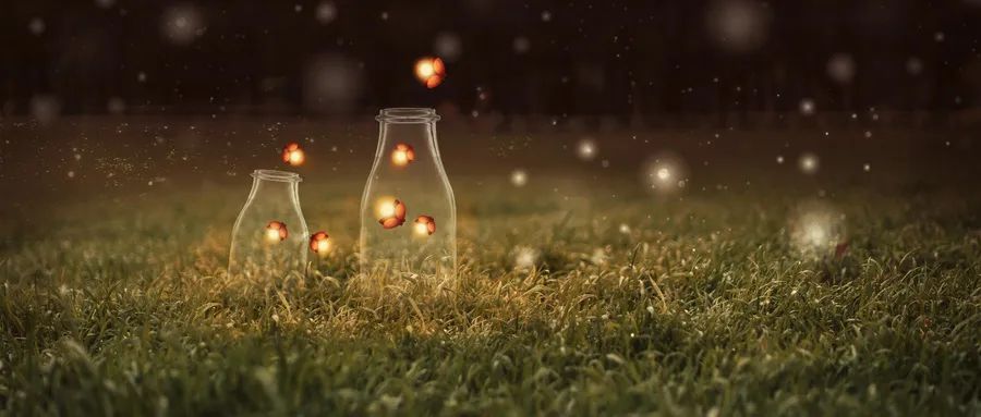 可爱的萤火虫拟人句,可爱的萤火虫幼儿完整版