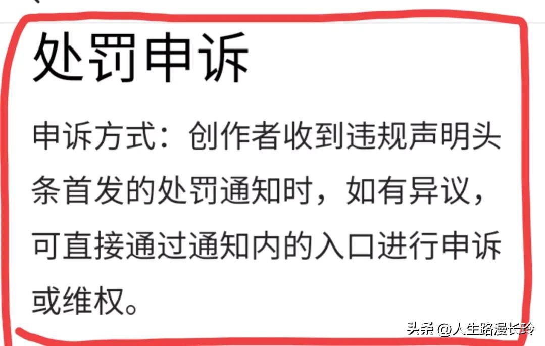 头条原创首发功能在哪里,新品首发喜报