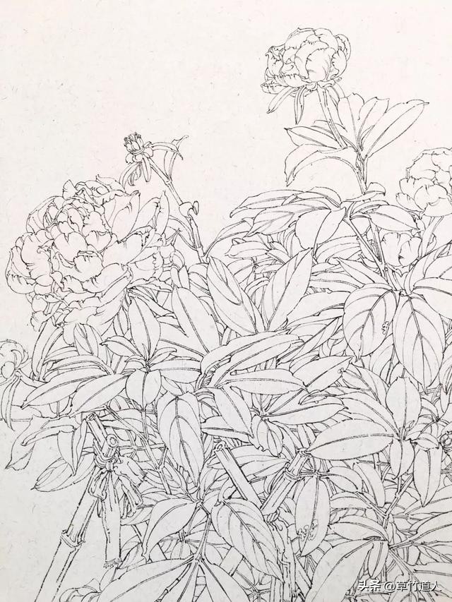 绘画艺术形象及其审美意义,中国绘画的审美特点4字