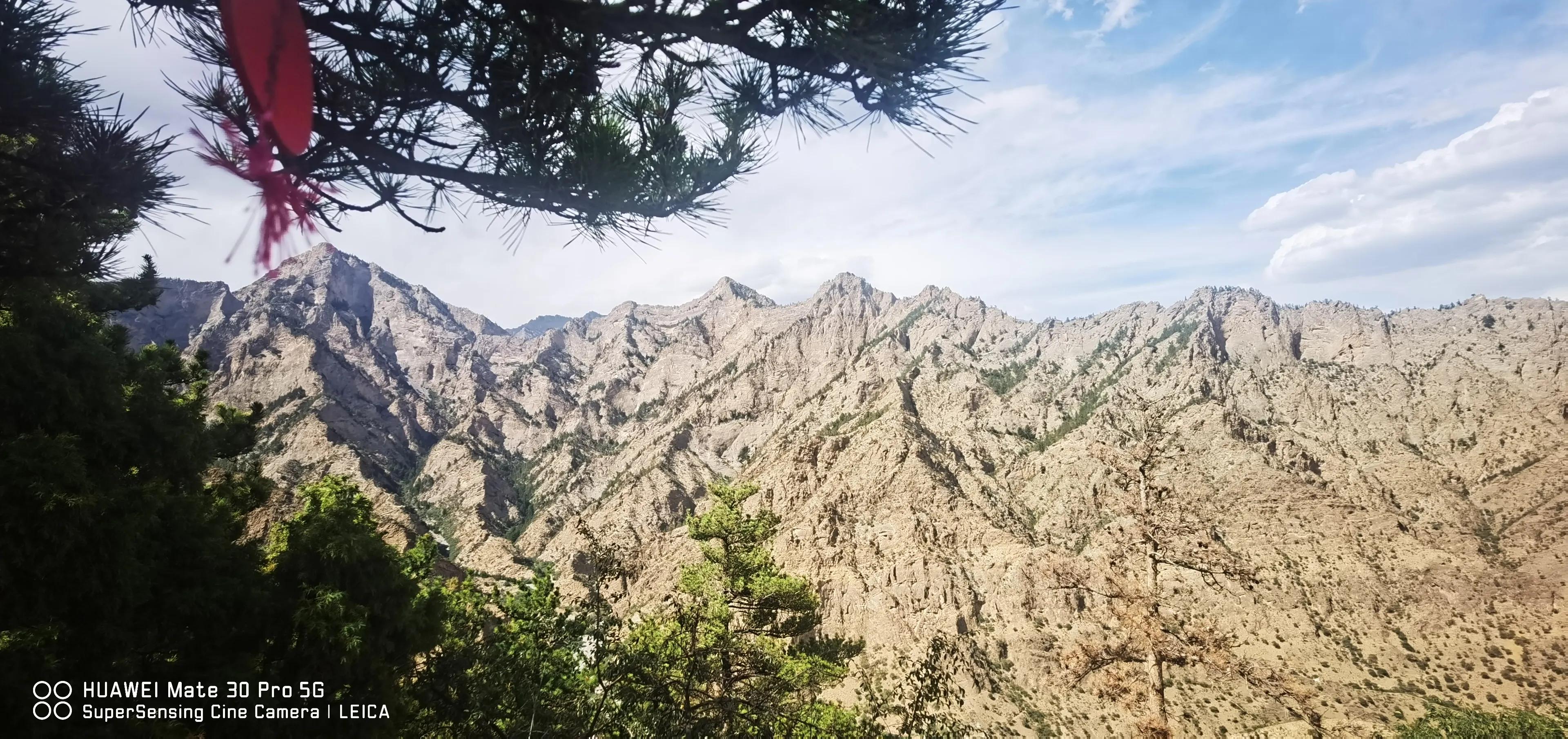 银川我来了视频,宁夏我来了完整视频