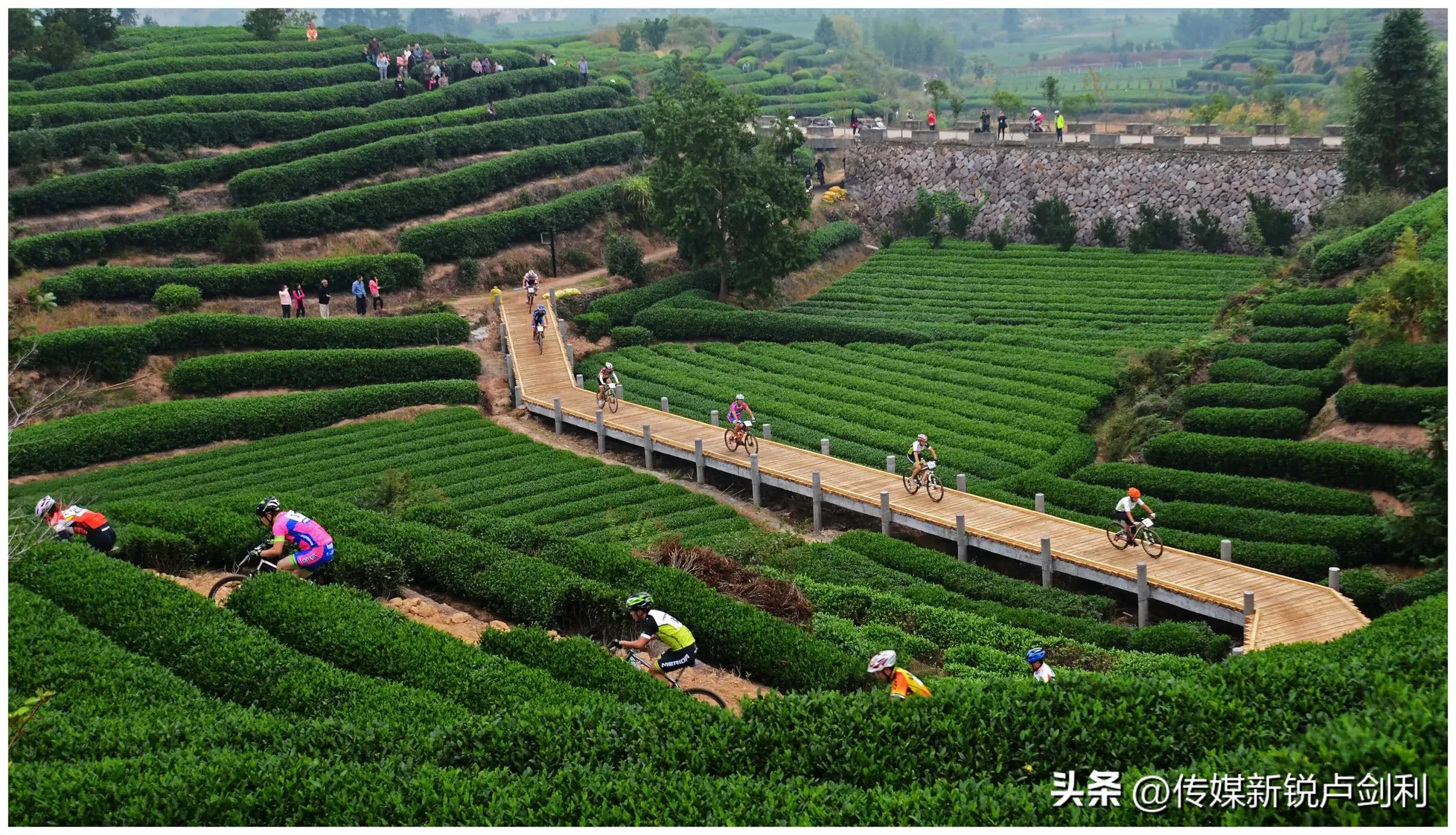 乡村旅游市场策略有哪些,乡村旅游营销策略图片