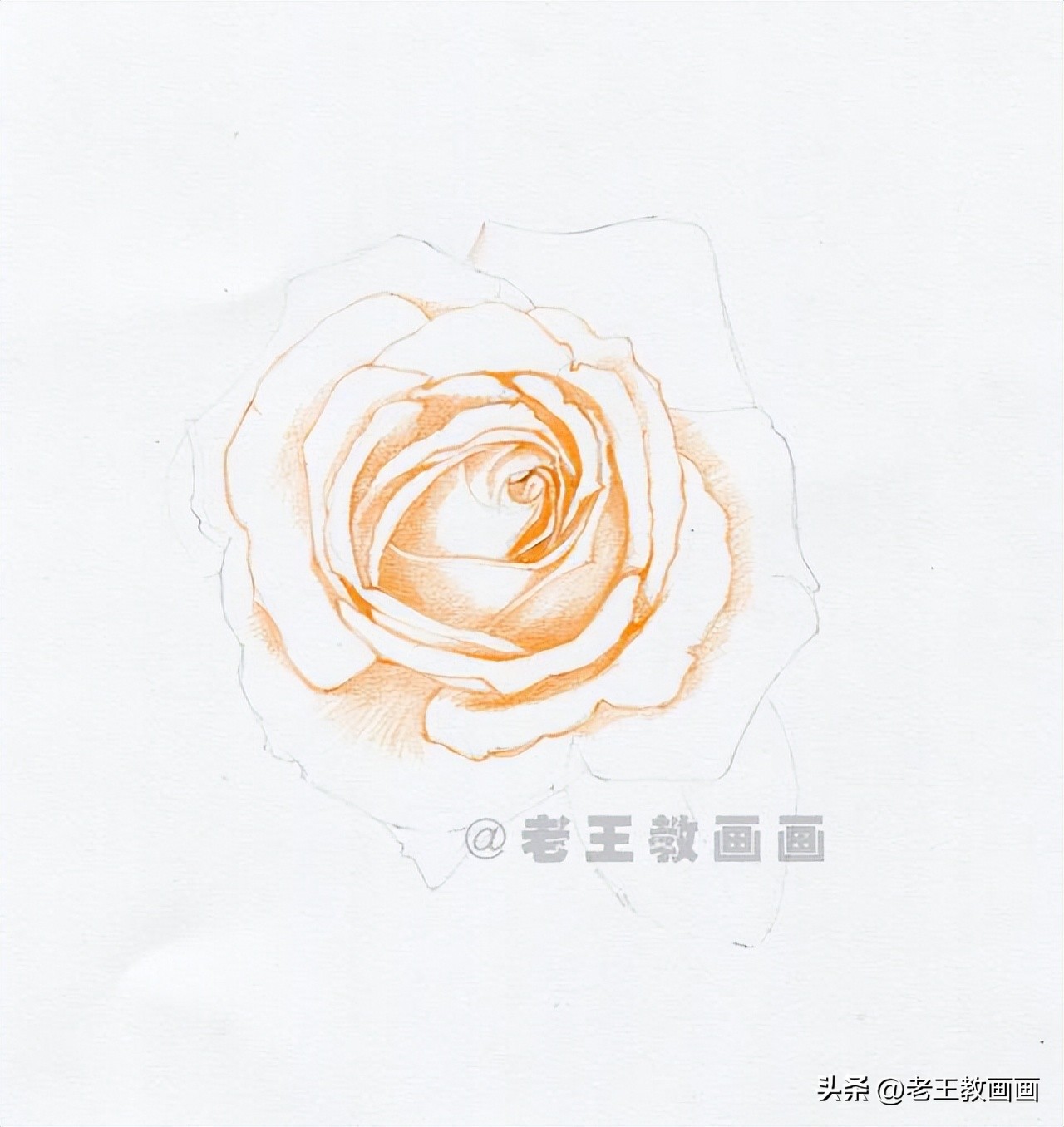 画花教程素描零基础,画向日葵花教程