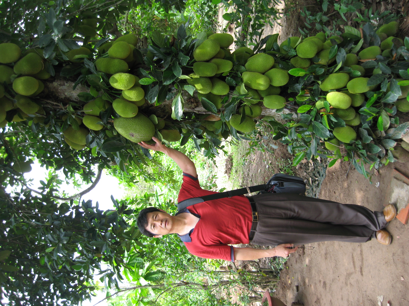 以前的西贡市和现在的胡志明市 (柬埔寨西贡和越南西贡)