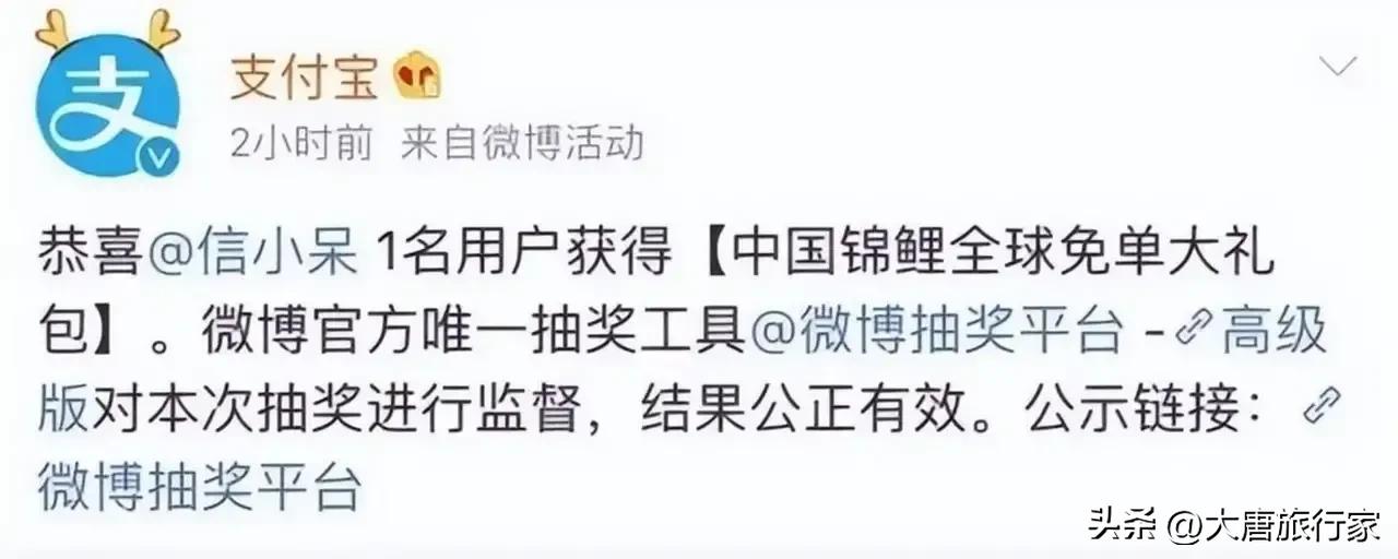 支付宝中了一亿大奖的女孩后续,支付宝信小呆奖品清单