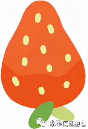 在水果中浆果是分哪几种,水果分类浆果