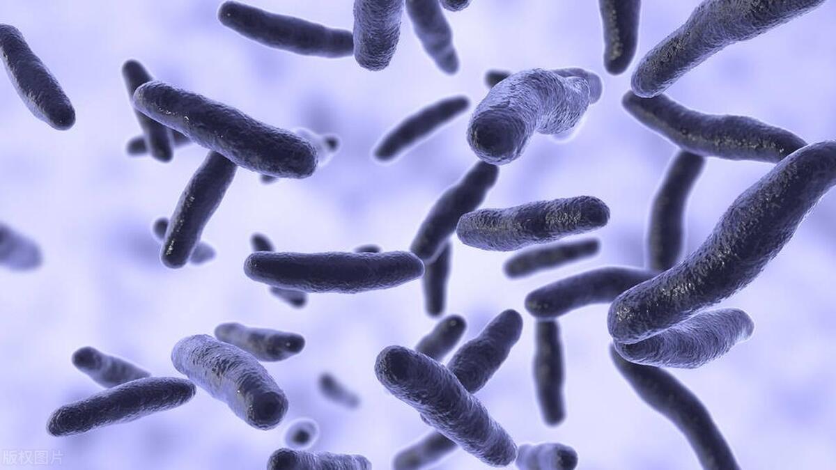 癌症早期有4个信号,身体发出这些信号可能是癌症预警