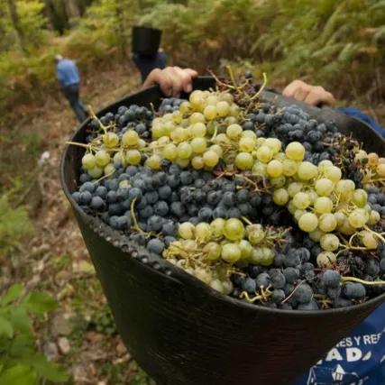 西班牙你所不知道的,西班牙冷知识大全视频