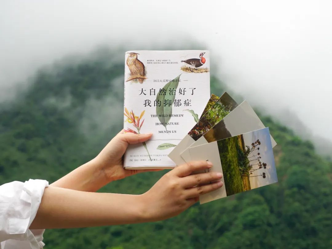 在城市待久了去感受一下大自然,长期去大自然走一走有什么感觉