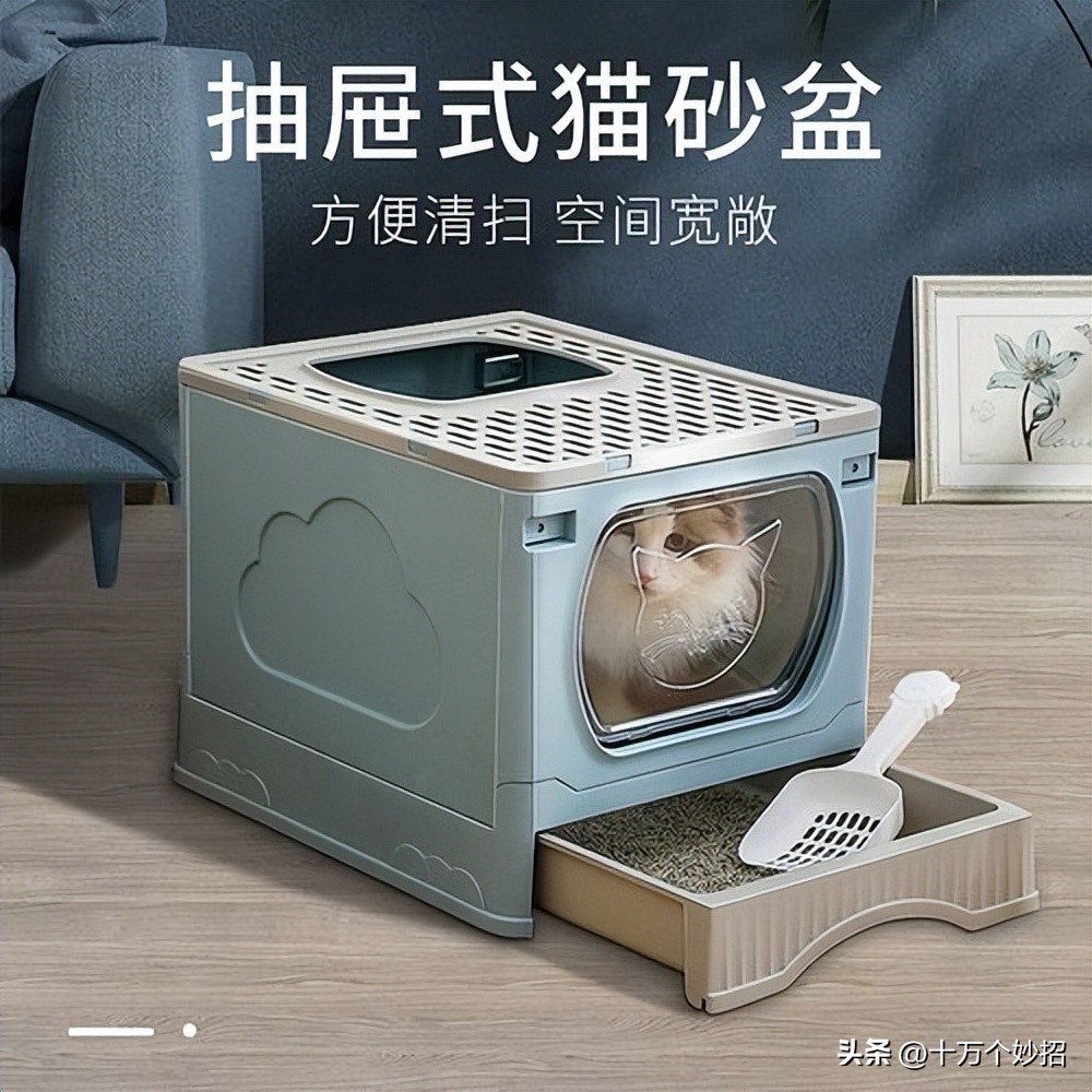 猫咪误食猫砂有怎样的后果 (猫咪用的猫砂有毒吗)