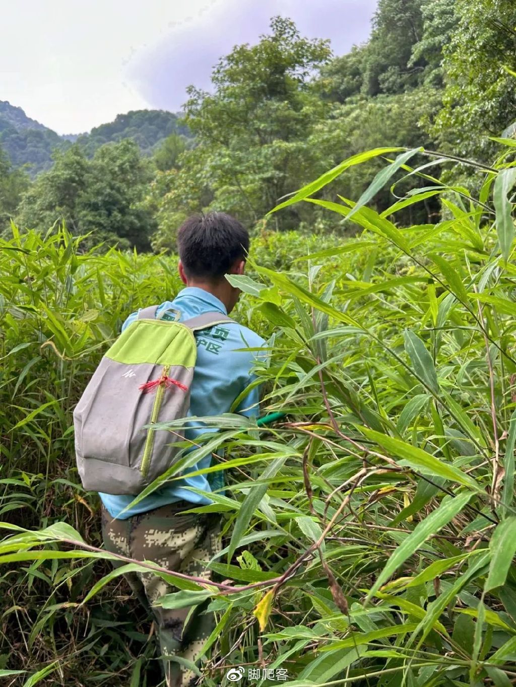 封开黑石顶自然保护区今日关注,广东封开黑石顶省级自然保护区
