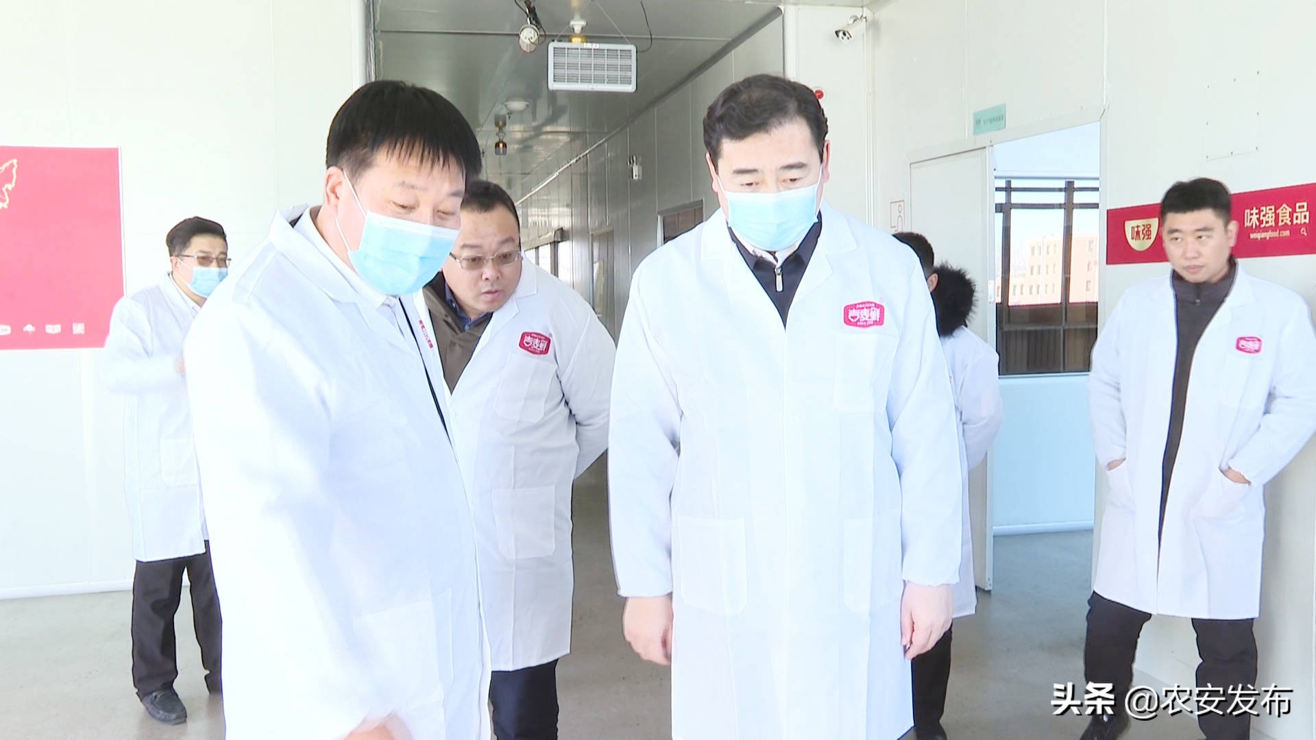 县委书记周鹤,周鹤农安