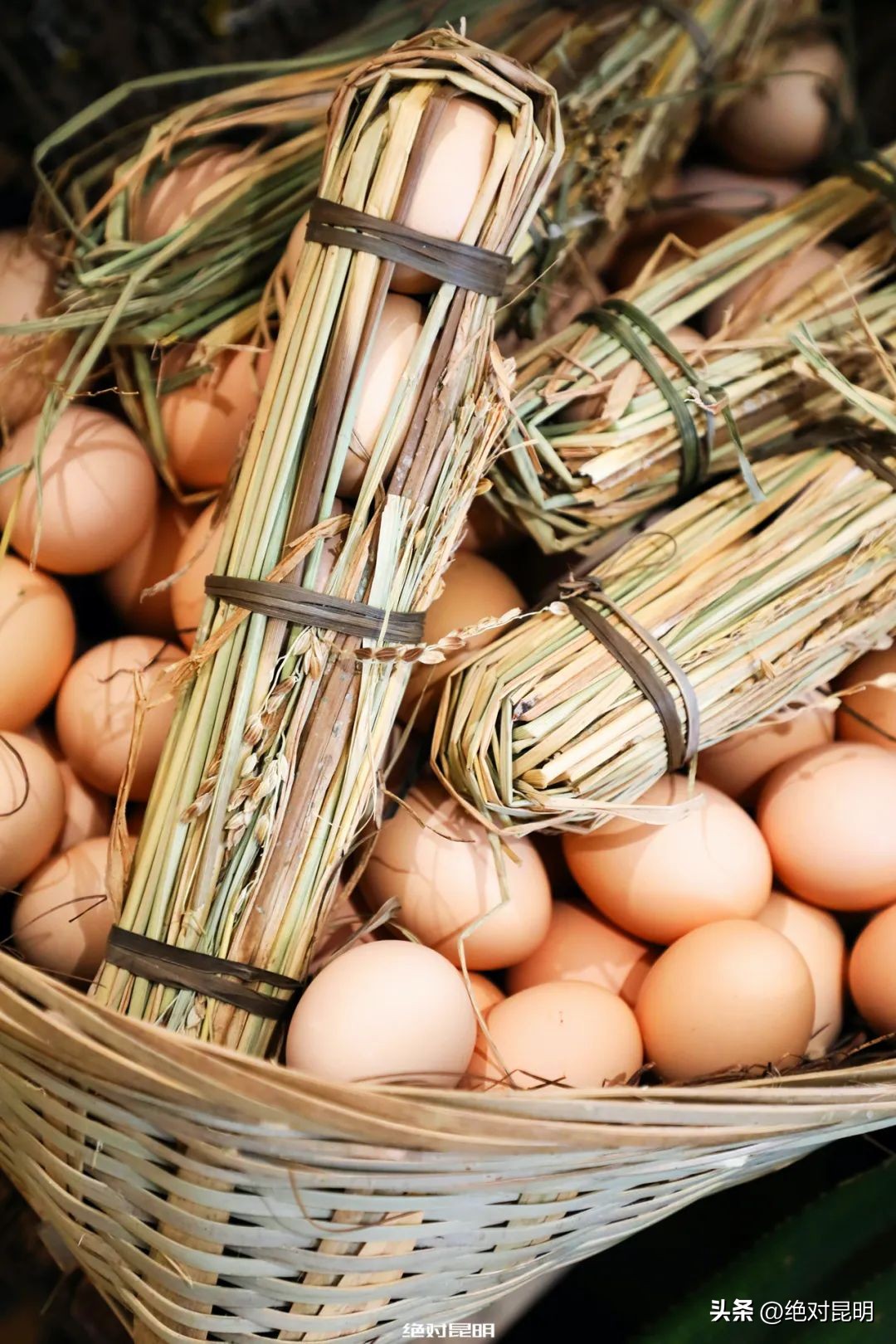 江湖儿女江湖菜,滇菜家常菜100道菜名大全