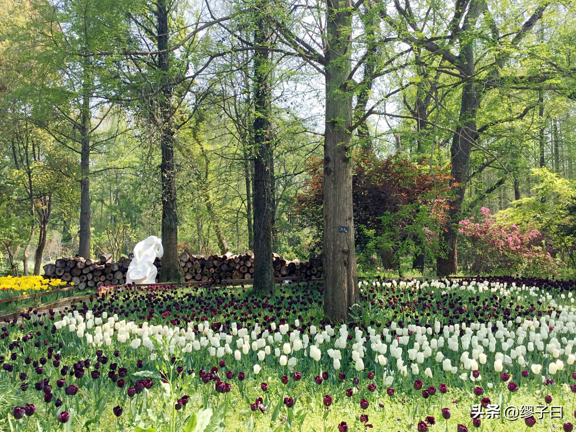南京一定要去的山,南京值得去的山