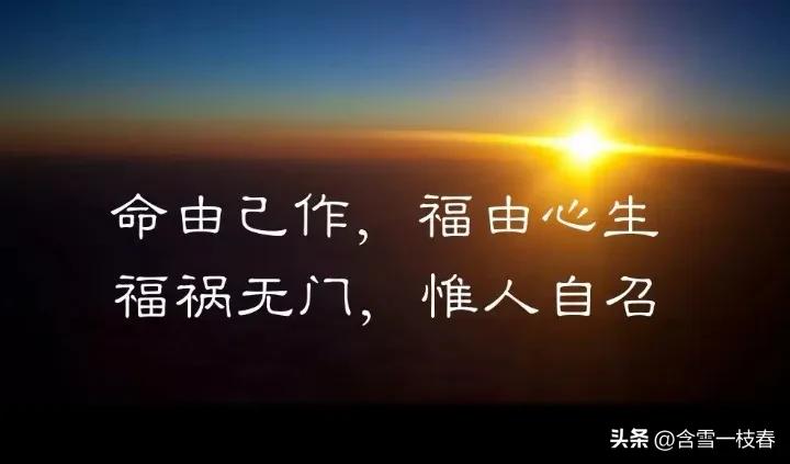 2017年杭州老汉去美国看女儿，捡台旧电脑获刑15年：持有色情文件