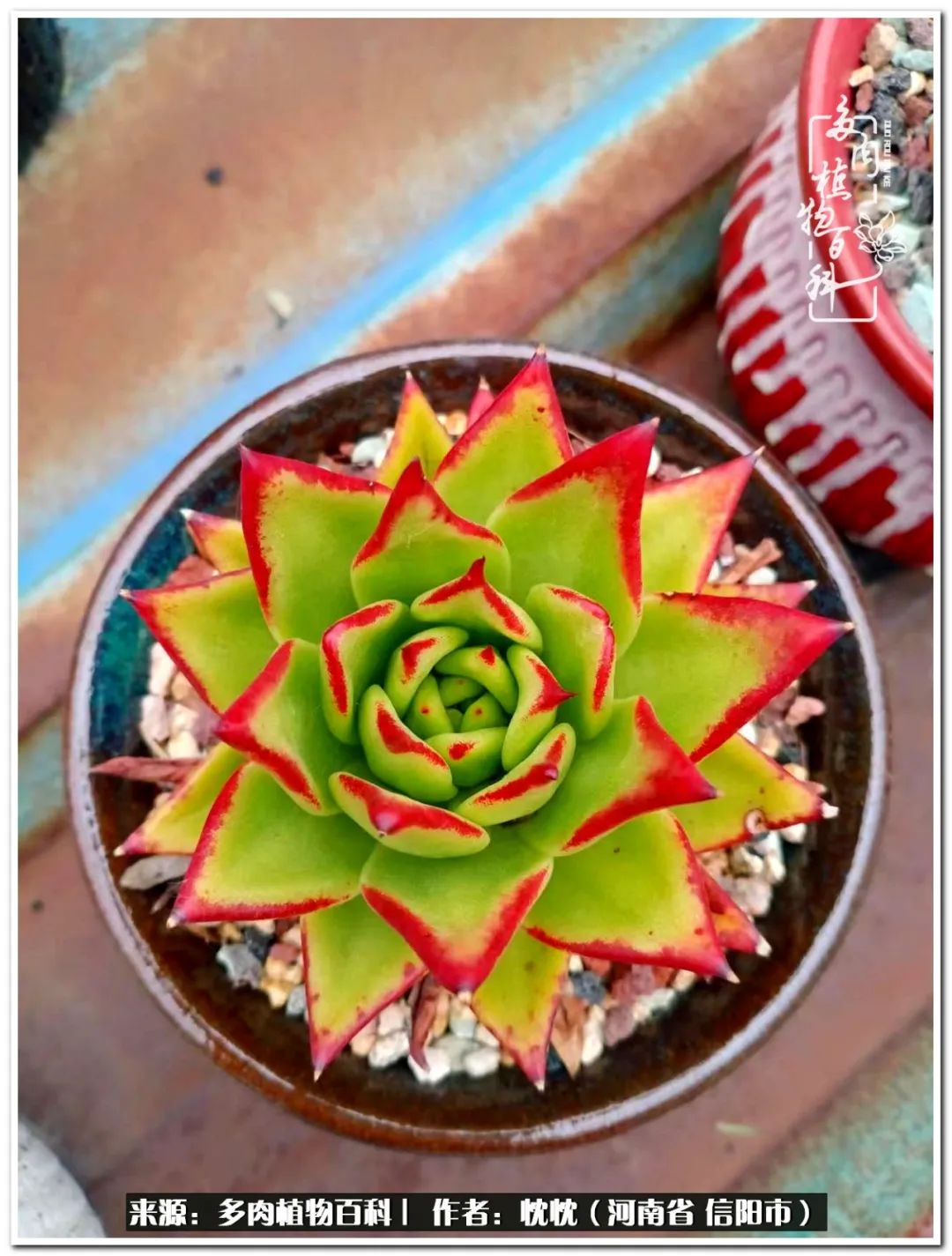 携一人白首择一城终老心之向往,携一人之手择一城终老图片