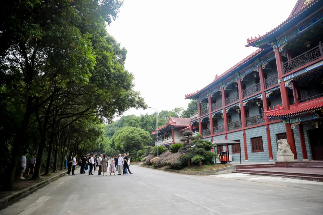 高洲酒业都给哪些品牌提供原酒,宜宾高洲酒厂现状