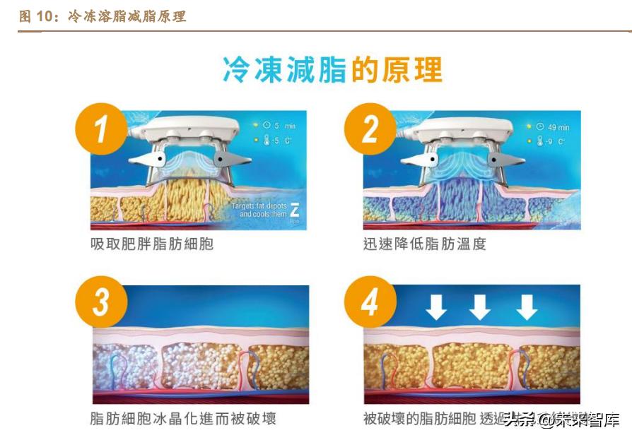 医美行业深度研究,医美瘦身行业