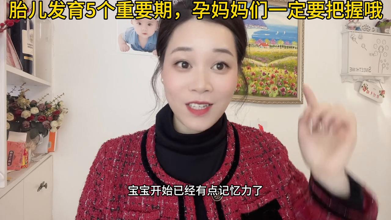 胎儿发育的五个关键期,孕早期你知道胎儿怎么发育的吗