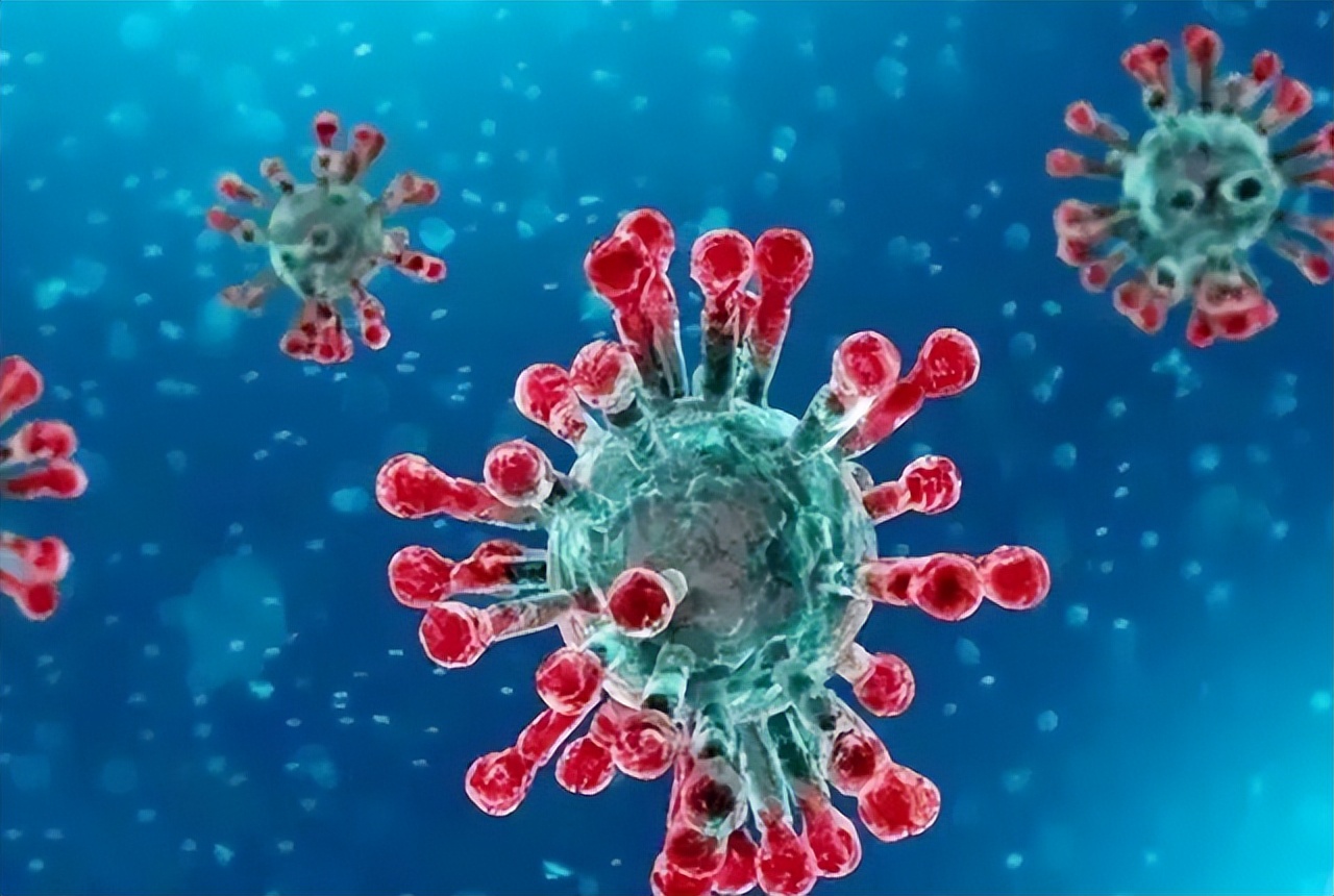 澳大利亚野兔泛滥成灾体重近百斤,澳大利亚野兔成灾野兔上百斤