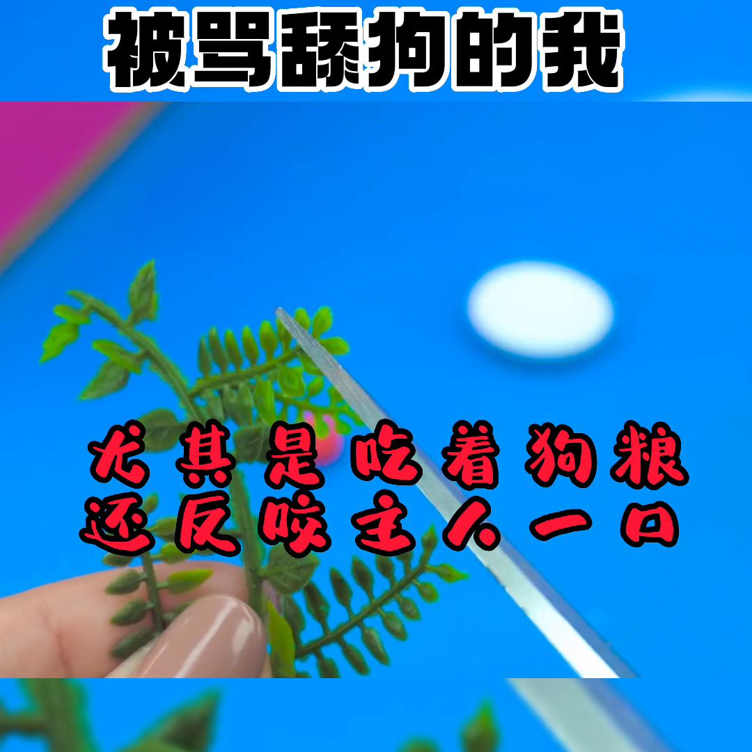 极度舒适的轻音乐,极度舒适的强迫症视频