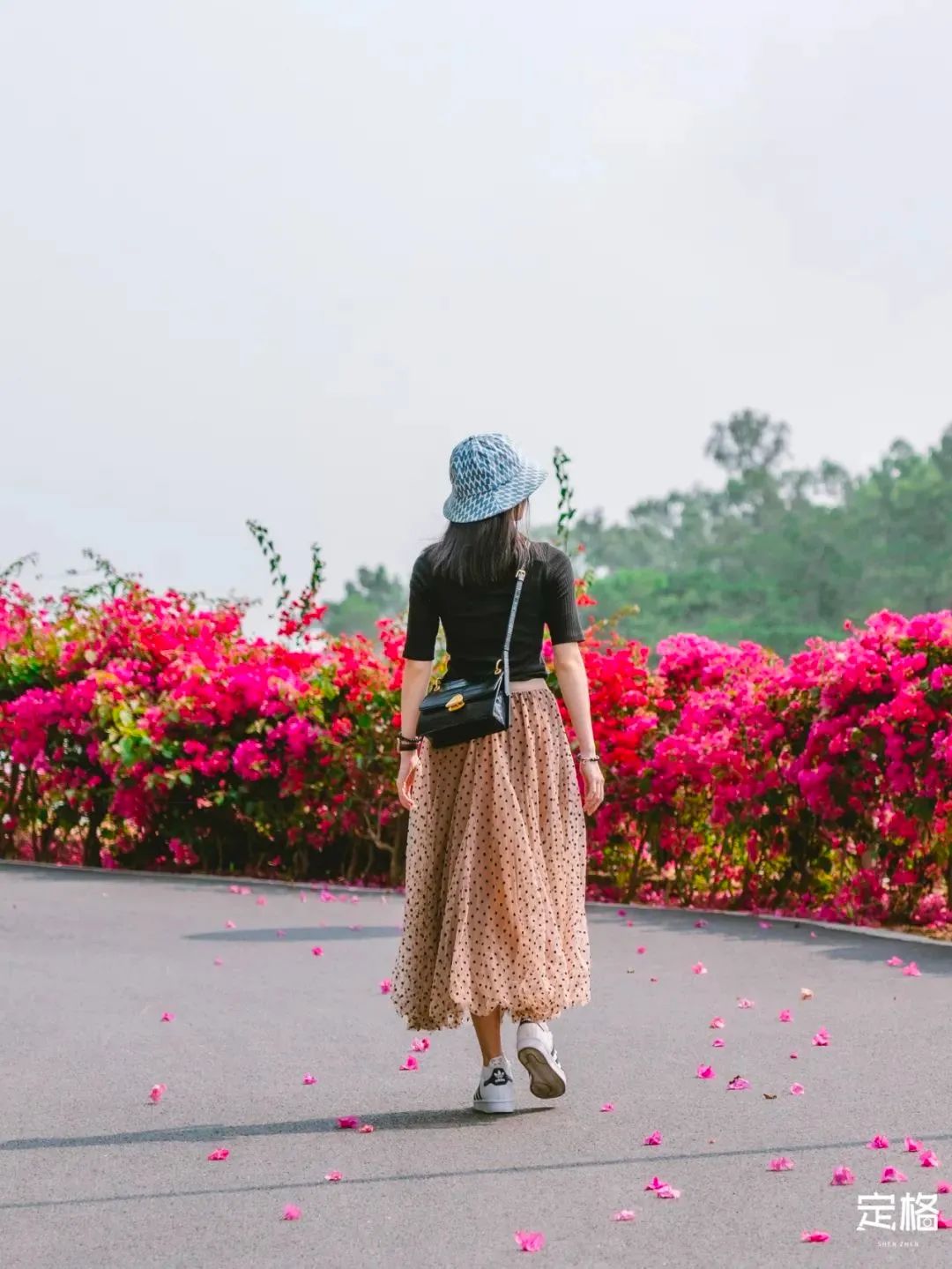 深圳10条入门登山线路推荐,深圳十大山峰最新登山攻略