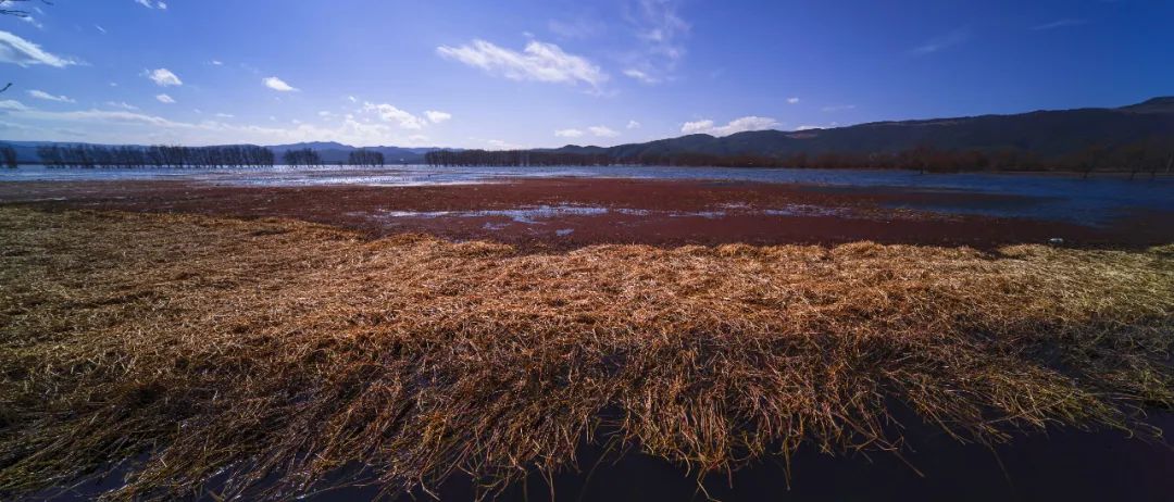 鑰佽洐15mmf4.5绉昏酱闀滃ご,鑰佽洐7.5f2璇勬祴