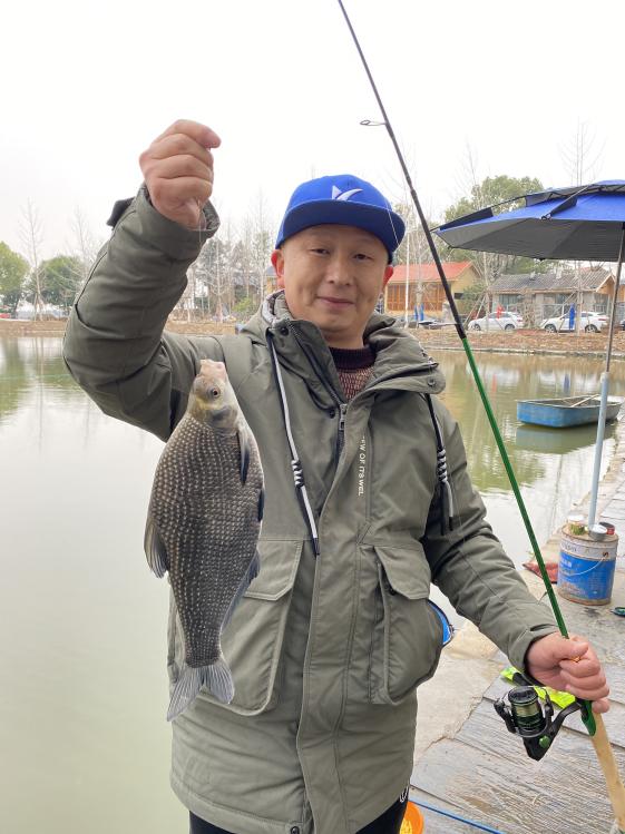 中逵鲜丹钓黄尾,中逵鲜丹鱼饵野钓怎么样