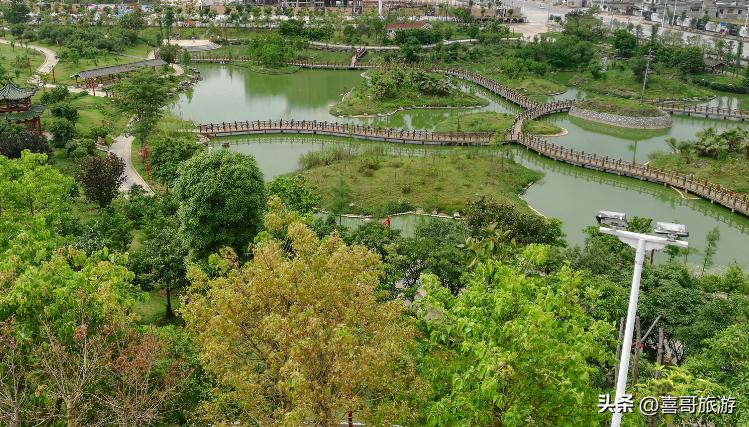 广西宾阳旅游攻略路线,广西南宁宾阳旅游攻略景点