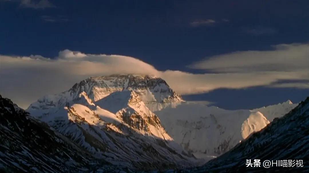 提高认知增长知识的高分纪录片,孩子必看的5部纪录片