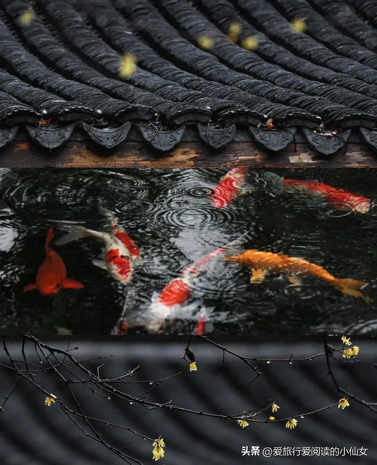 杭州旅游景点大全免费,杭州富阳免费景点大全