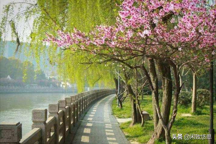 散文五月的校园怎么写,五月的私语散文