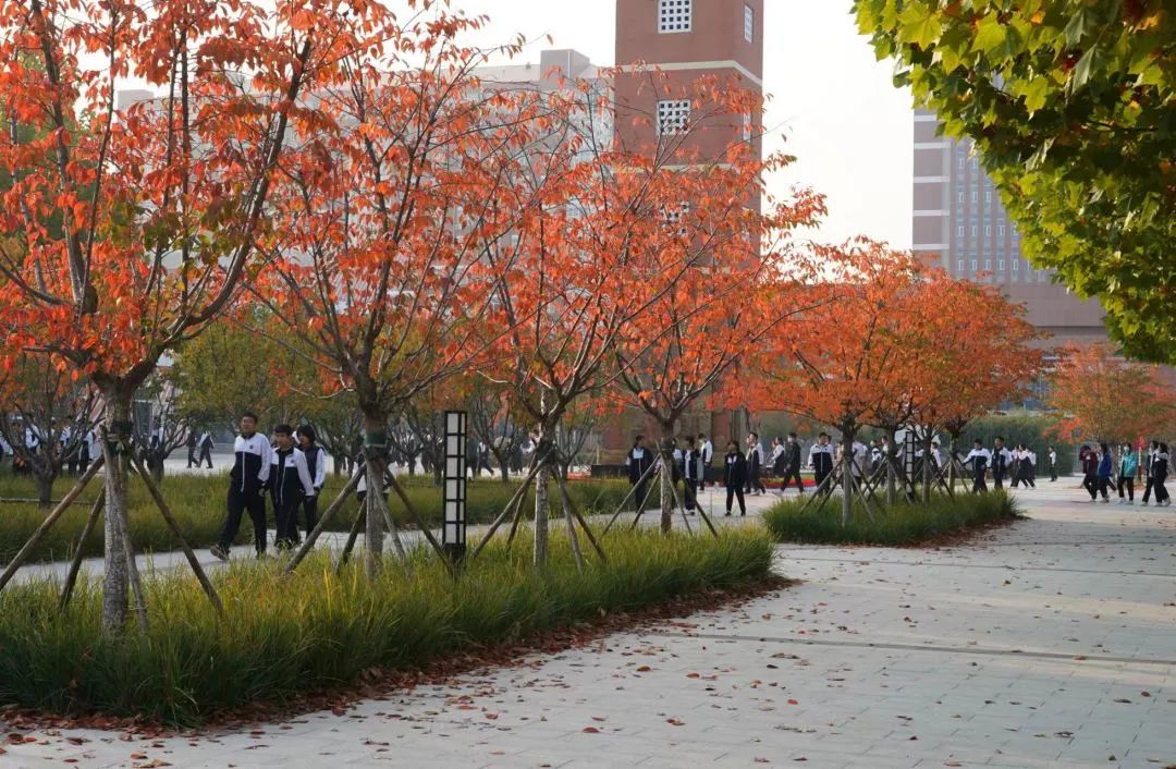 沧州一中回忆录,沧州一中历史简介