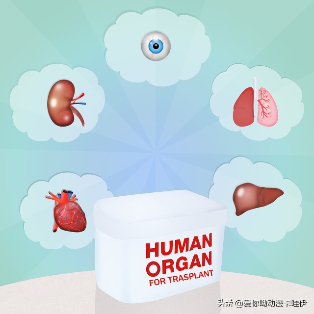 你敢相信吗？*市黑**上一颗心脏80万，肝脏110万，肾脏180万
