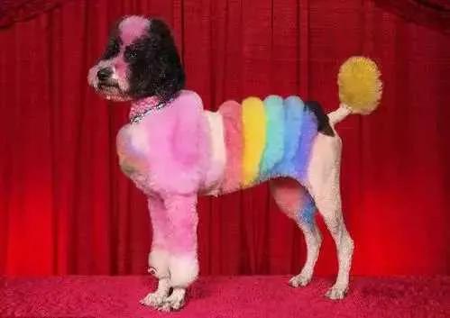 你不知道的国家冷知识捷克,你不知道的国家冷知识乌克兰篇