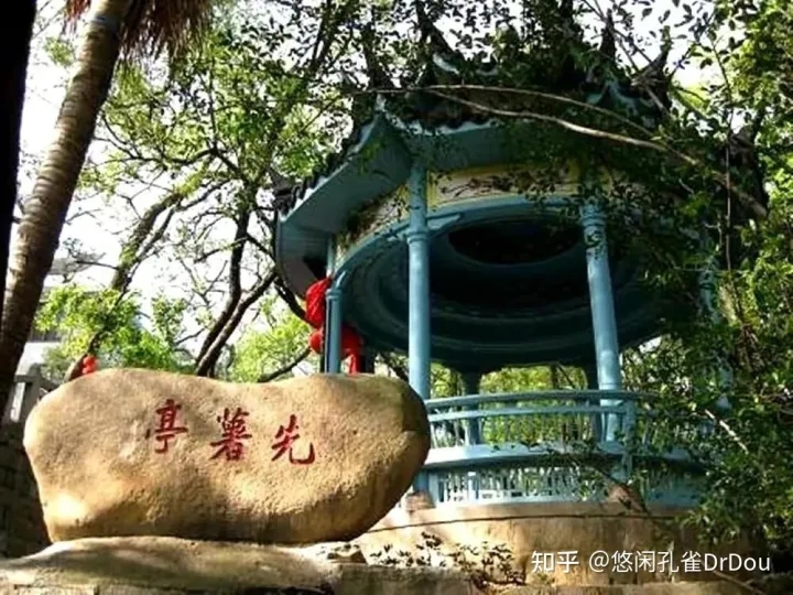 一根薯藤救了几亿国人你相信吗,一个商人救了整个国家