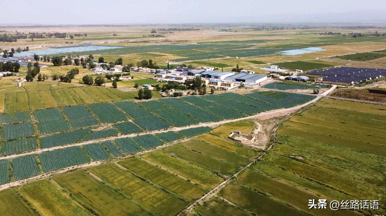 三抓三促春季造林,三抓三促七里河