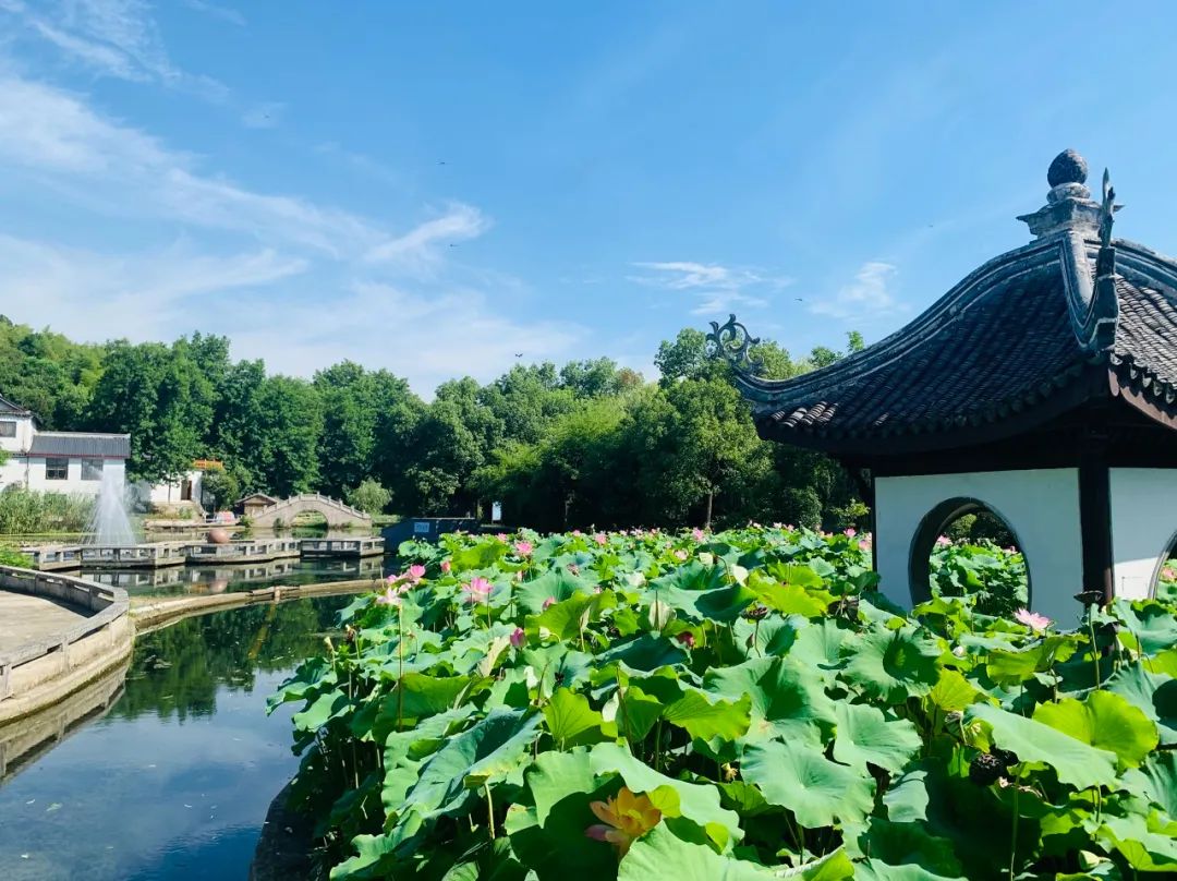 我去竹林避暑了，夏天过完再通知我！