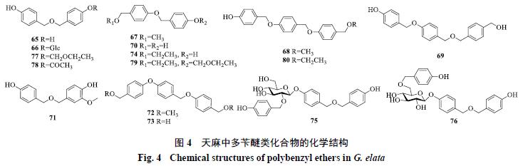 天麻的主要化学成分为什么类,天麻的主要化学成分是什么