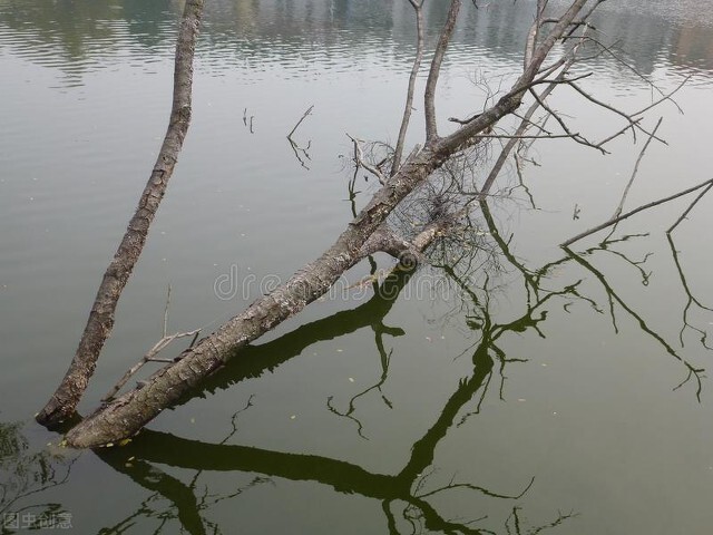 联枯(DMDPB)综合性能优良国内相关在建、拟建项目增加