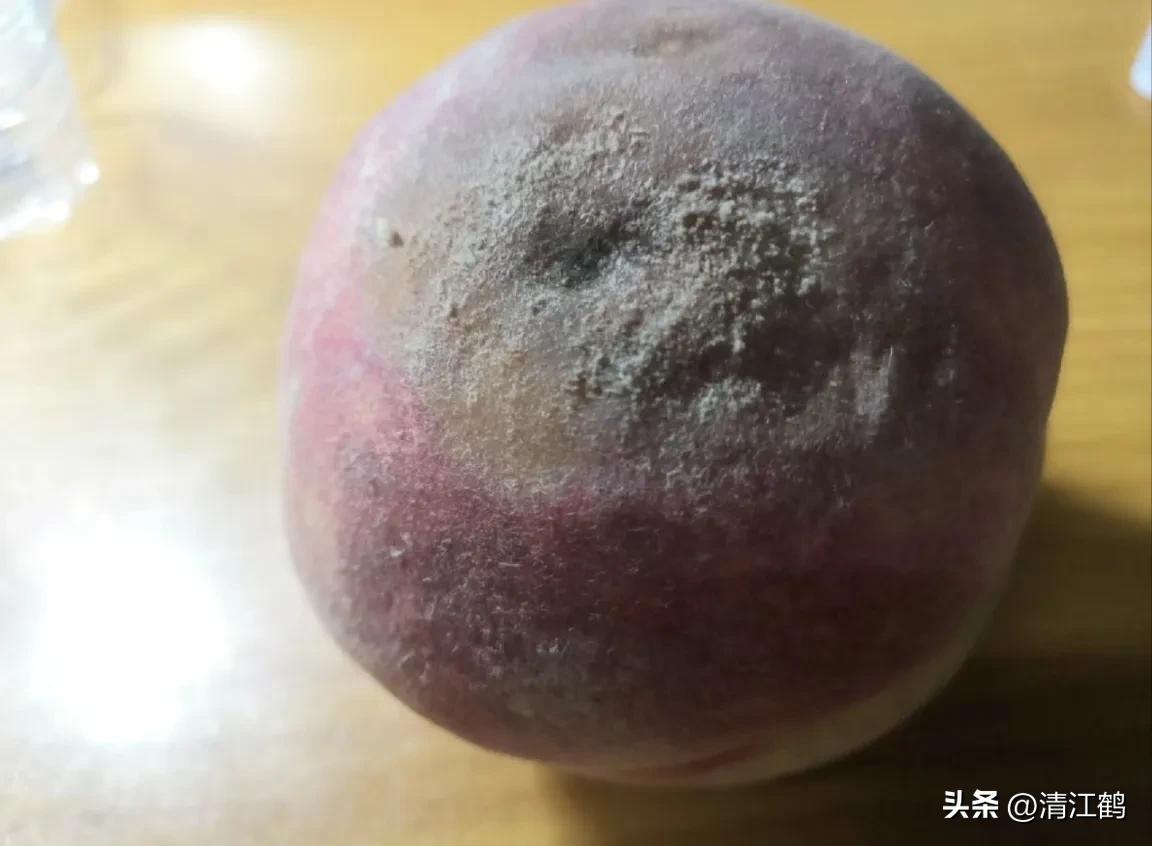 冬桃裂果是什么原因,冬桃烂心咋回事