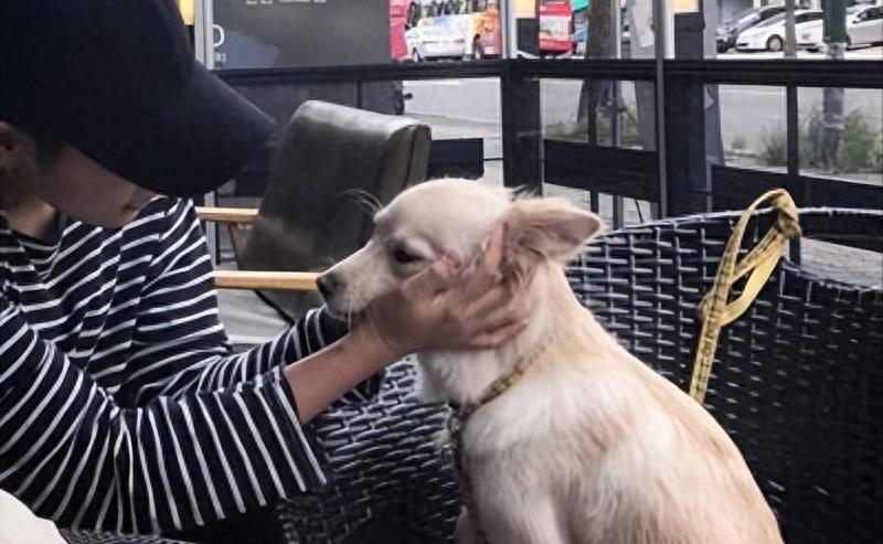 女子身上长虫医生拿镊子治疗,女子体内有蜱虫被医生拿镊子拔出