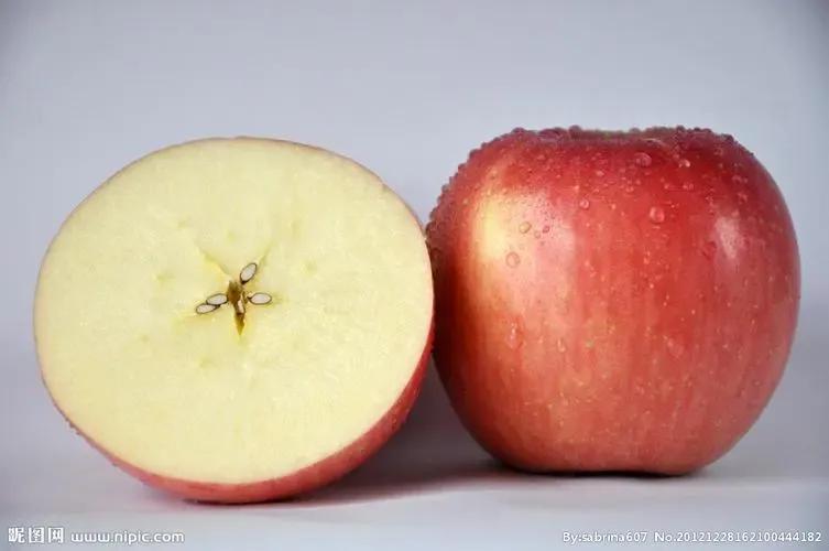 美术基础包括哪些内容,美术基础学什么专业