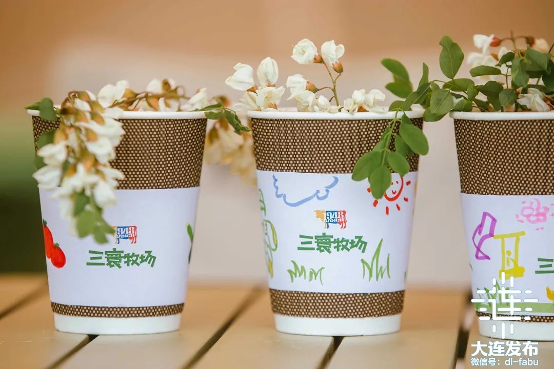 大连槐花香景点,大连槐花季美景