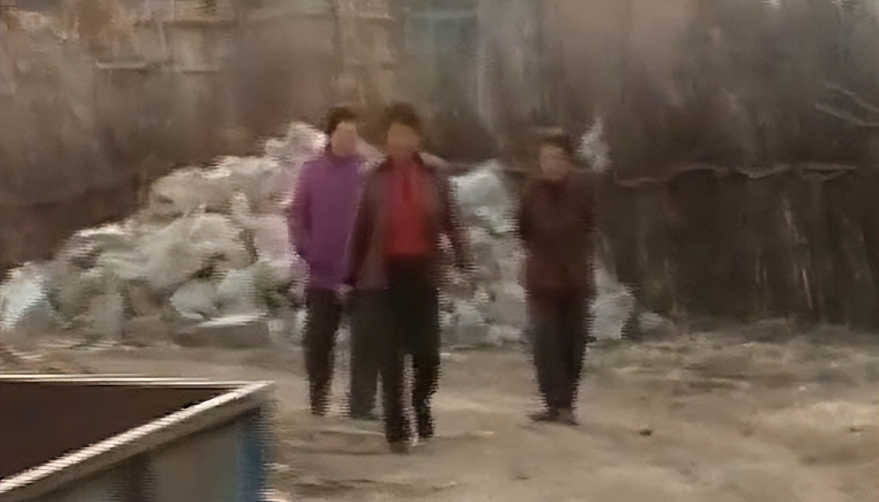 吉林农妇好心收养毒蛇,吉林农夫好心救了一条毒蛇