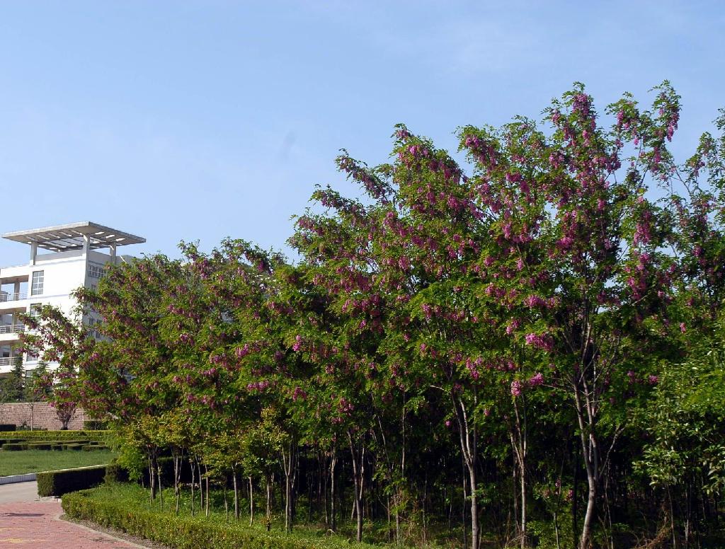 河南城建学院已改为大学了吗,河南城建和许昌学院哪个好