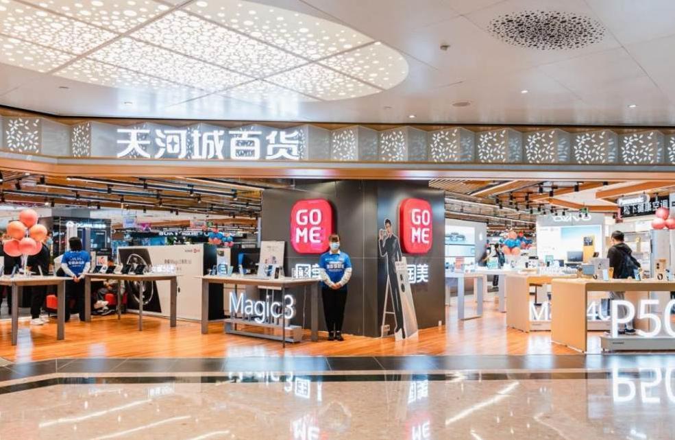 国美外部分析,国美深度分析