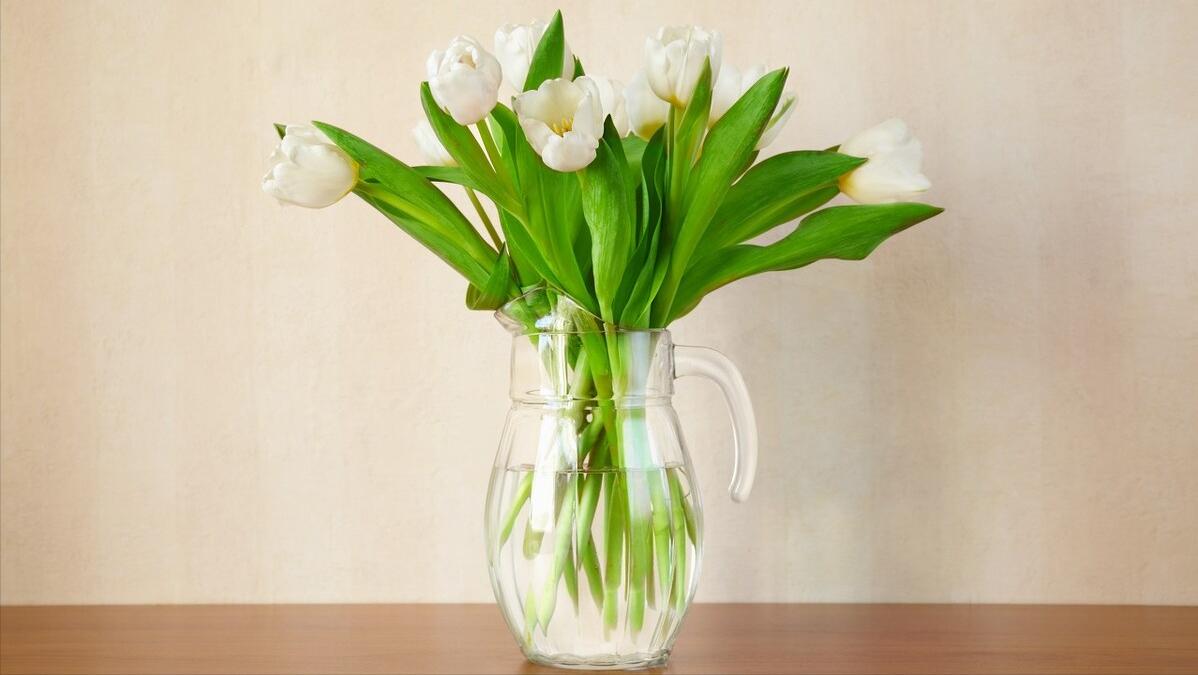 每日30分钟晨间日记,晨间日记视频