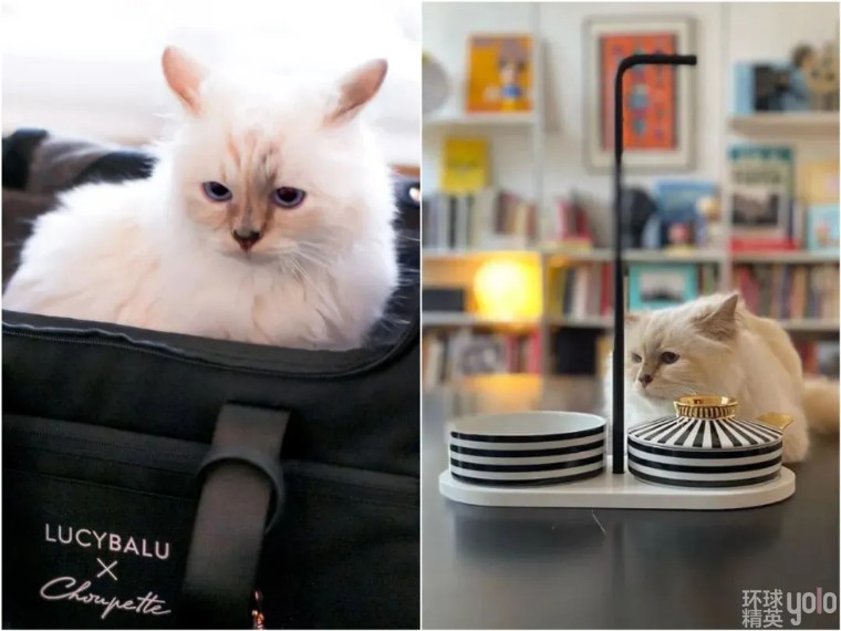 metgala绾㈡2022,metgala绾㈡2021