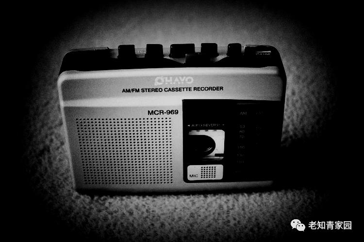 梁晓声知青小说,梁晓声知青全文