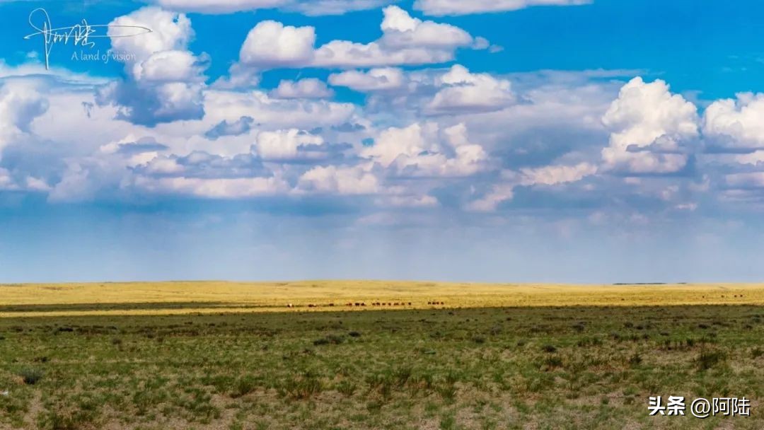 二连浩特便宜的购物店,二连浩特逛街